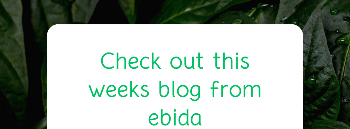 Tender Post-submission feedback Tender Post-submission feedback